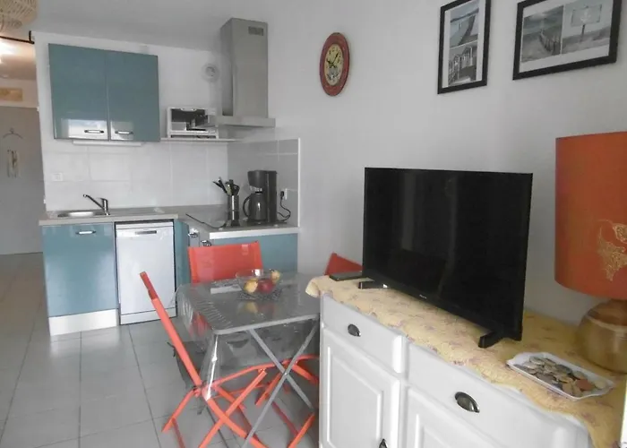 Appartement T2 A Sete Avec Vue Marina Et Parking Prive Pour 4 Pers - Fr-1-472-111 *